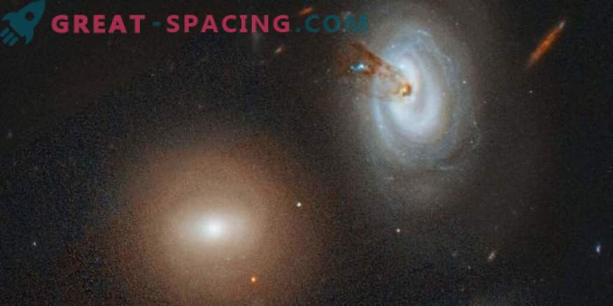 Głodny klaster absorbuje bezbronną galaktykę