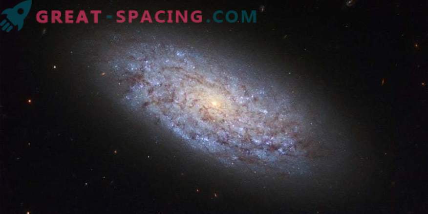 Zatwierdzono najstarszą galaktykę spiralną