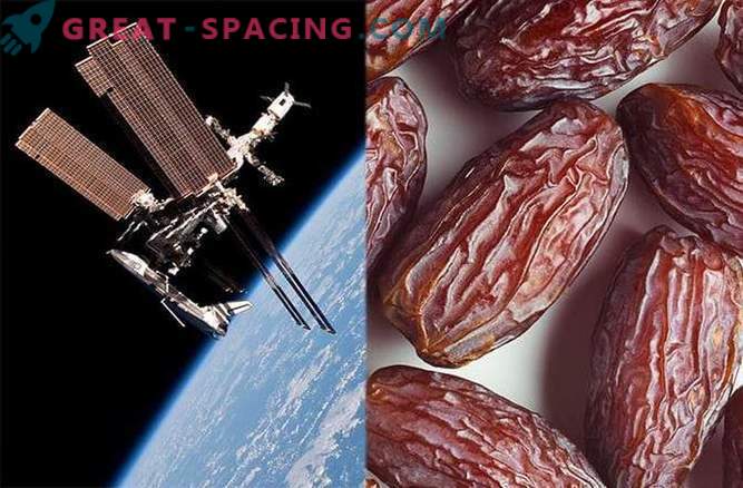 Ciruelas del espacio para la salud ósea de los astronautas
