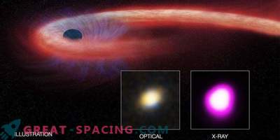 Supermasywna czarna dziura rozrywa nieszczęśliwą gwiazdę