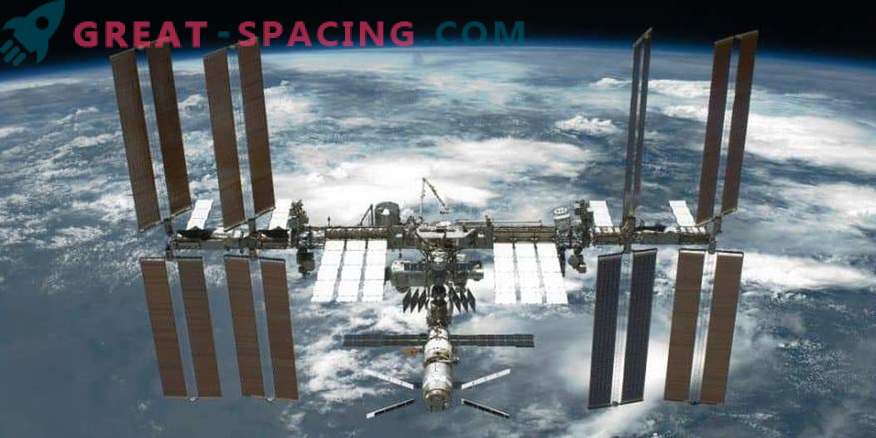 ISS spełnia pierwszy brytyjski eksperyment z robakami