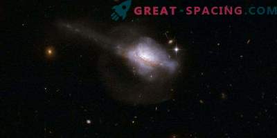 Aktywne jądra galaktyczne i narodziny gwiazd