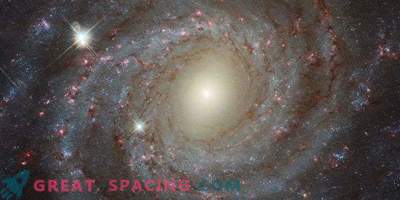 Осамена убавина NGC 3344