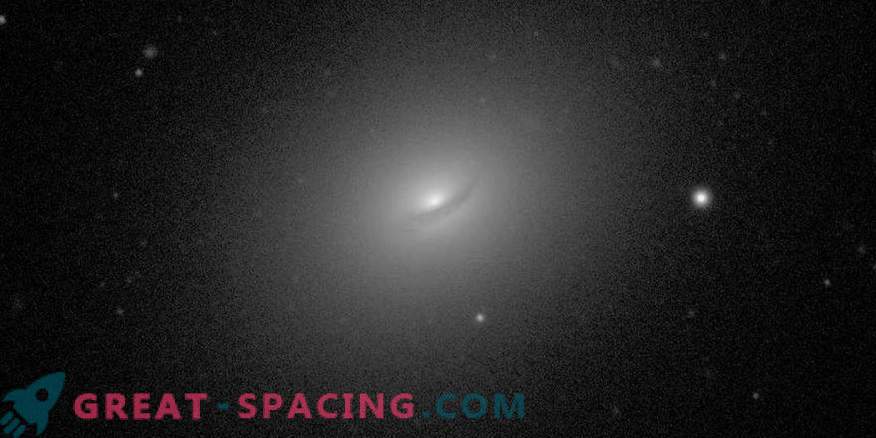 Przegląd ośrodka międzygwiezdnego w galaktyce NGC 3665