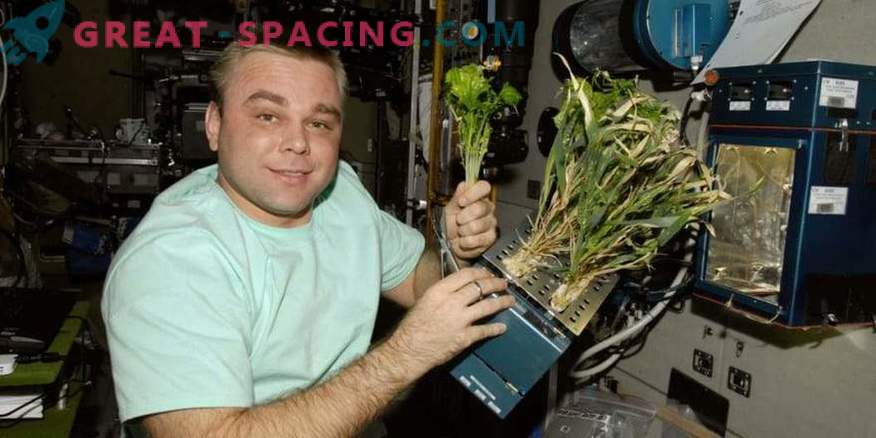 Eksperyment z przetwarzaniem tlenu na ISS