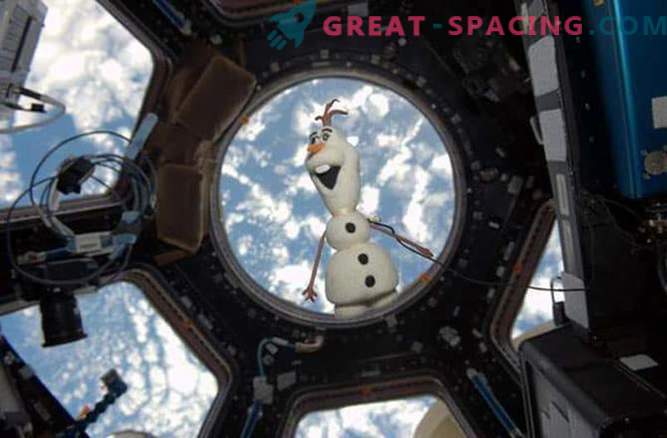 Olaf - orzech bałwana w kosmosie