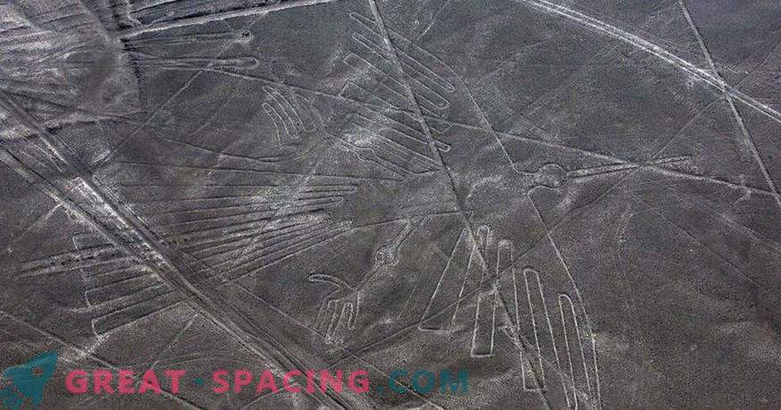 Starożytne rysunki na pustyni Nazca. Ufolodzy wskazują na pochodzenie pozaziemskie