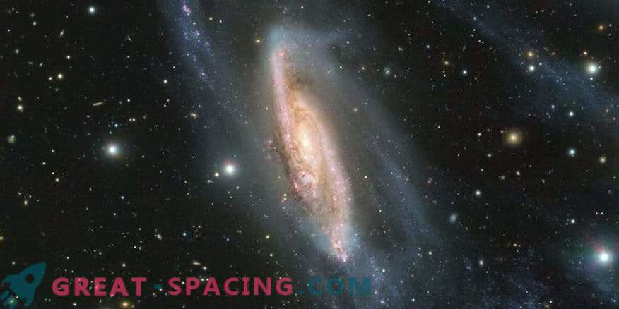 Galaktyczna Perła: oszałamiające szczegóły NGC 3981