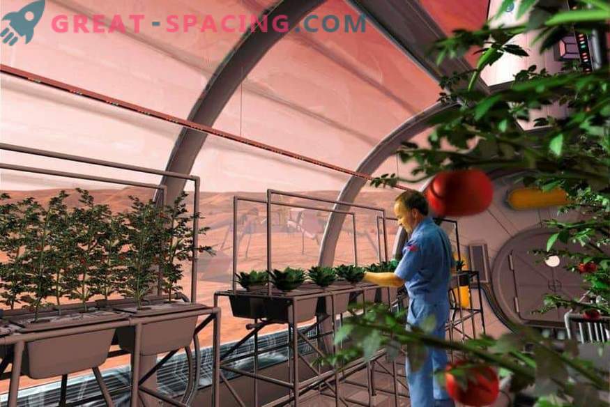 NASA wyśle ​​rośliny na Marsa?