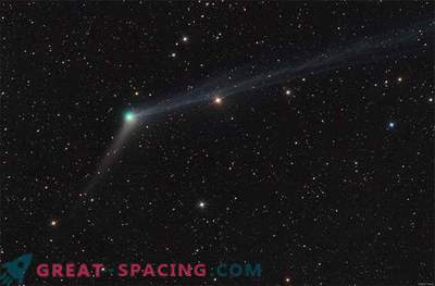 Kometa Catalina oślepi świąteczne niebo