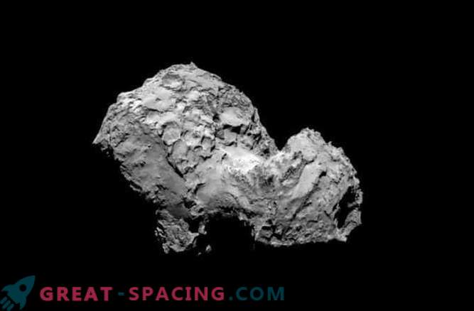 Bloki życia można znaleźć w komecie Rosetta